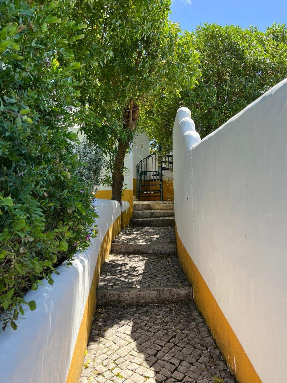 Quinta Laranja - Turismo Rural - Alvorninha Dış mekan fotoğraf