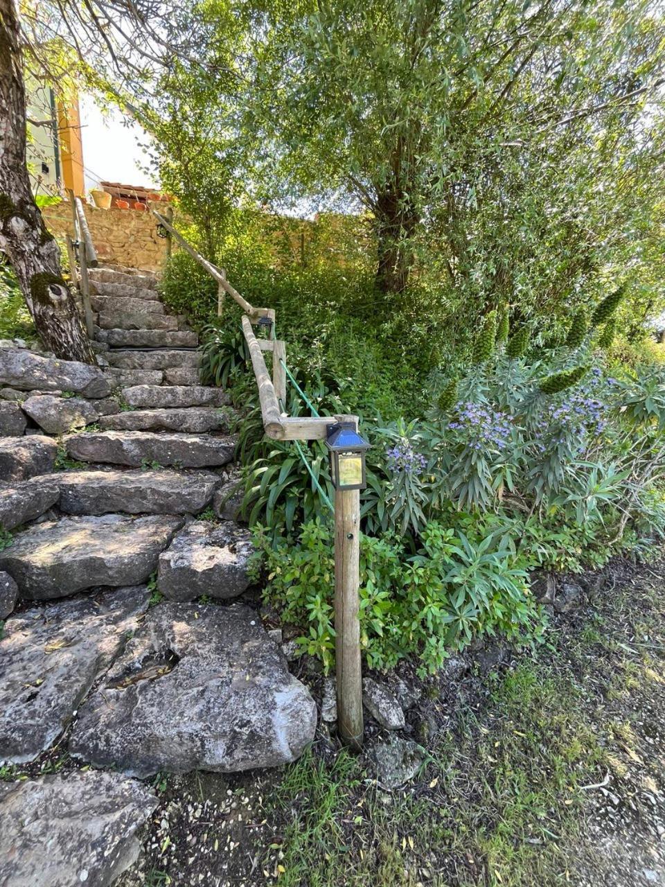 Quinta Laranja - Turismo Rural - Alvorninha Dış mekan fotoğraf