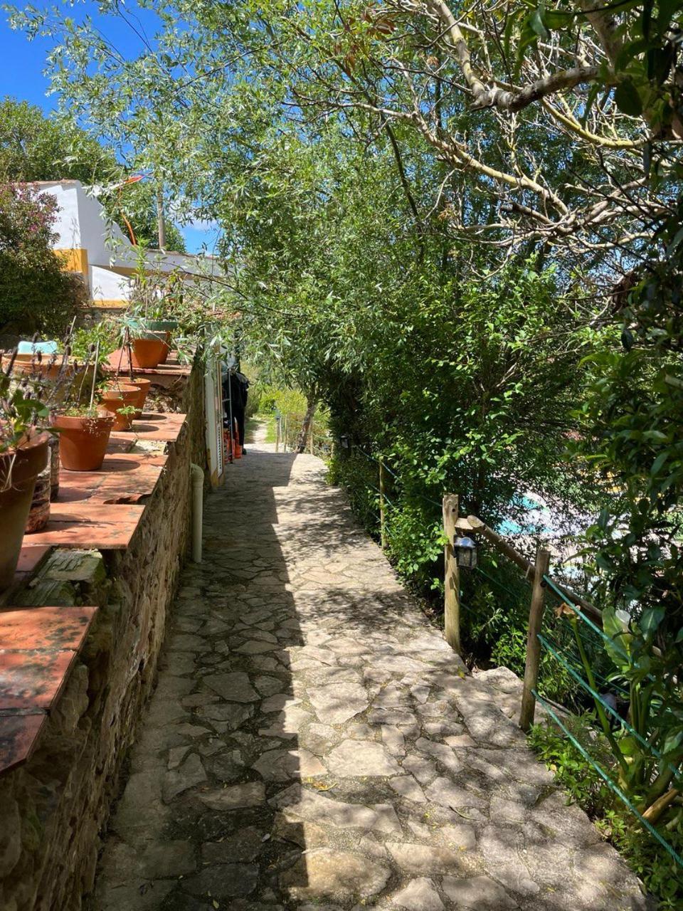 Quinta Laranja - Turismo Rural - Alvorninha Dış mekan fotoğraf