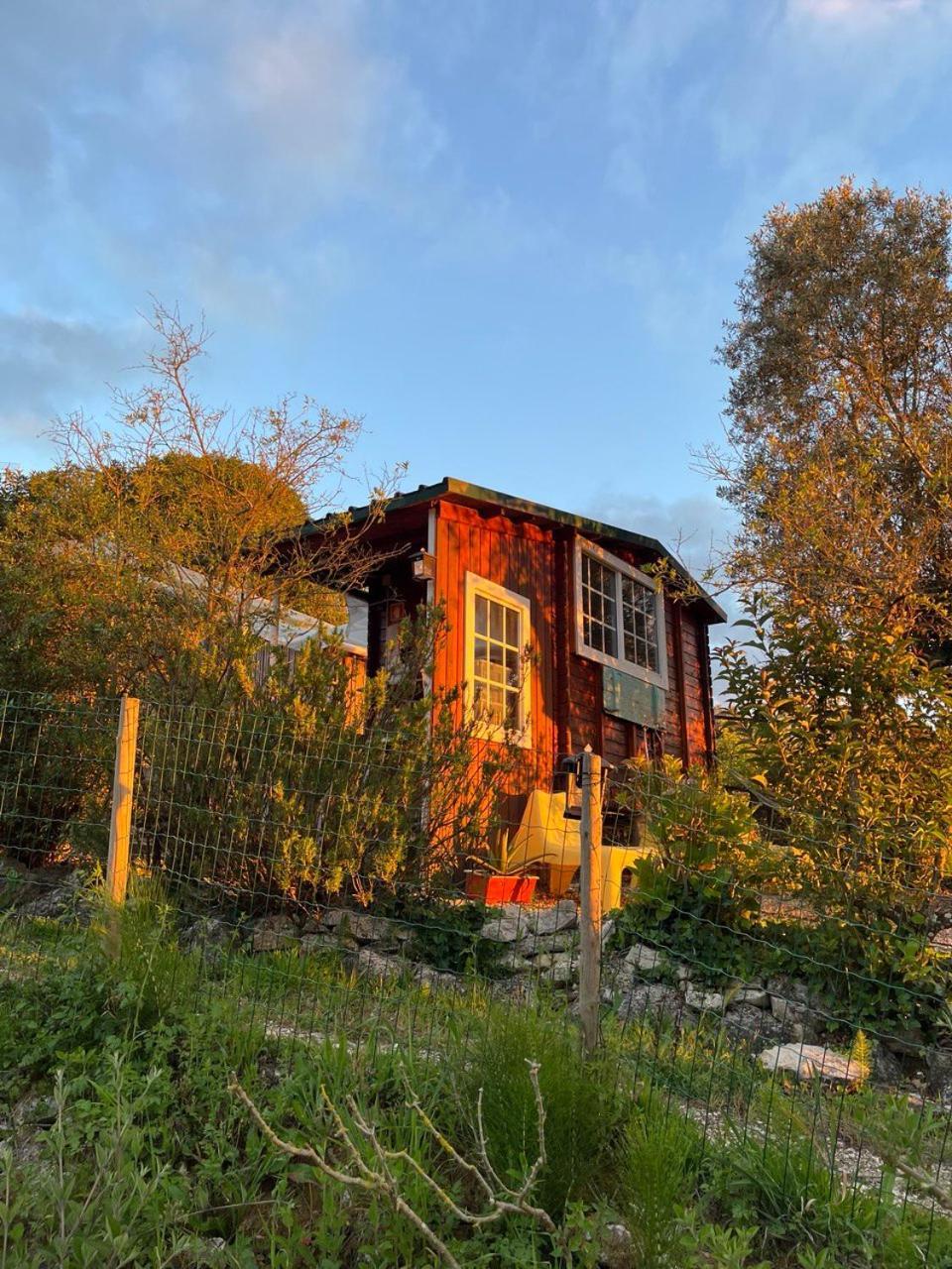 Quinta Laranja - Turismo Rural - Alvorninha Dış mekan fotoğraf