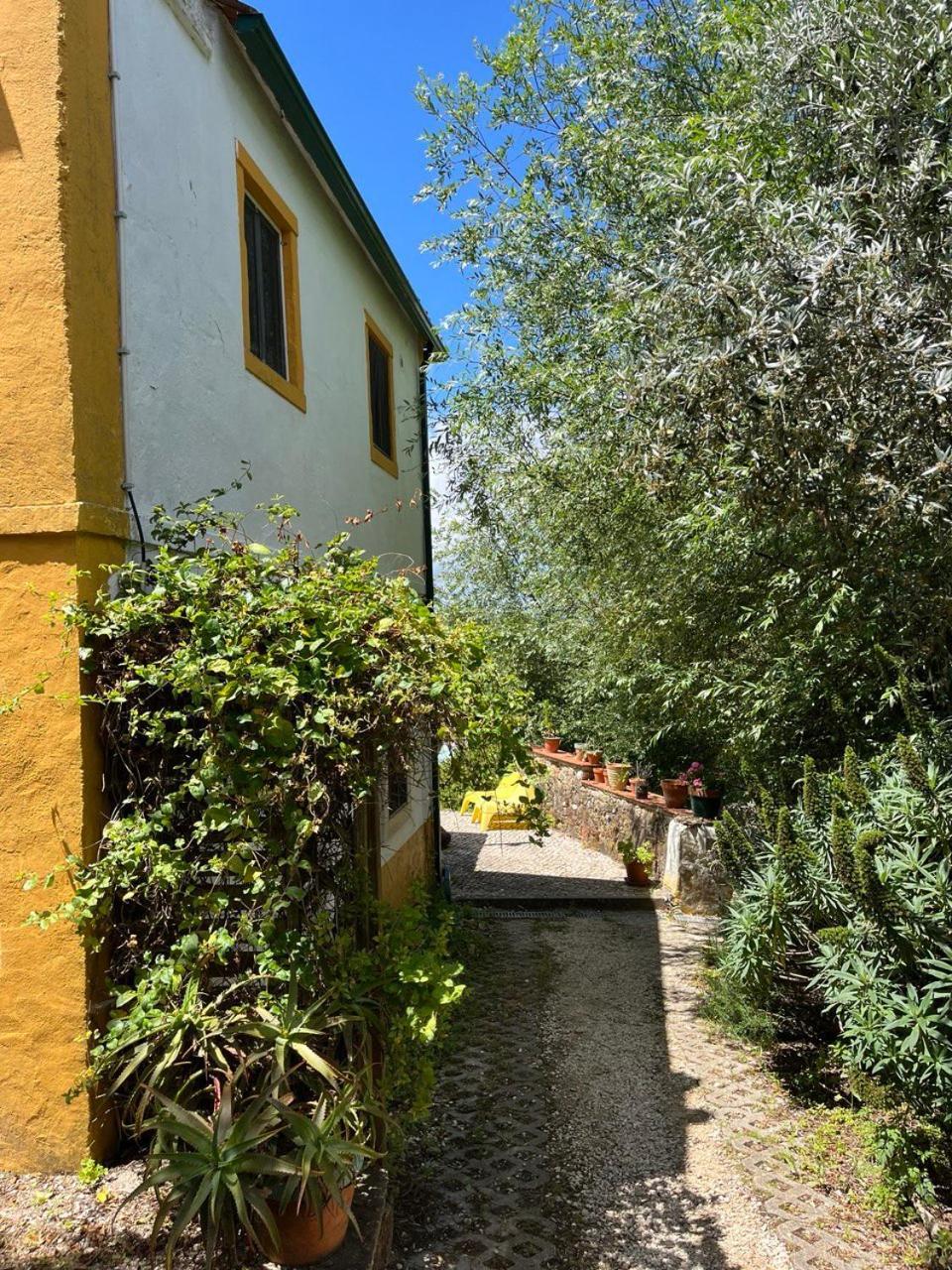 Quinta Laranja - Turismo Rural - Alvorninha Dış mekan fotoğraf