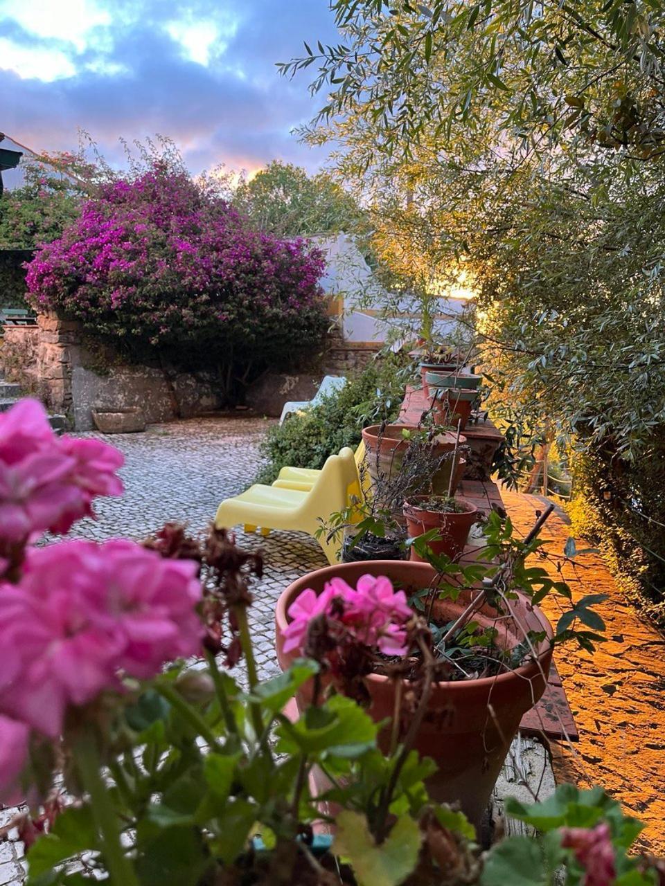 Quinta Laranja - Turismo Rural - Alvorninha Dış mekan fotoğraf
