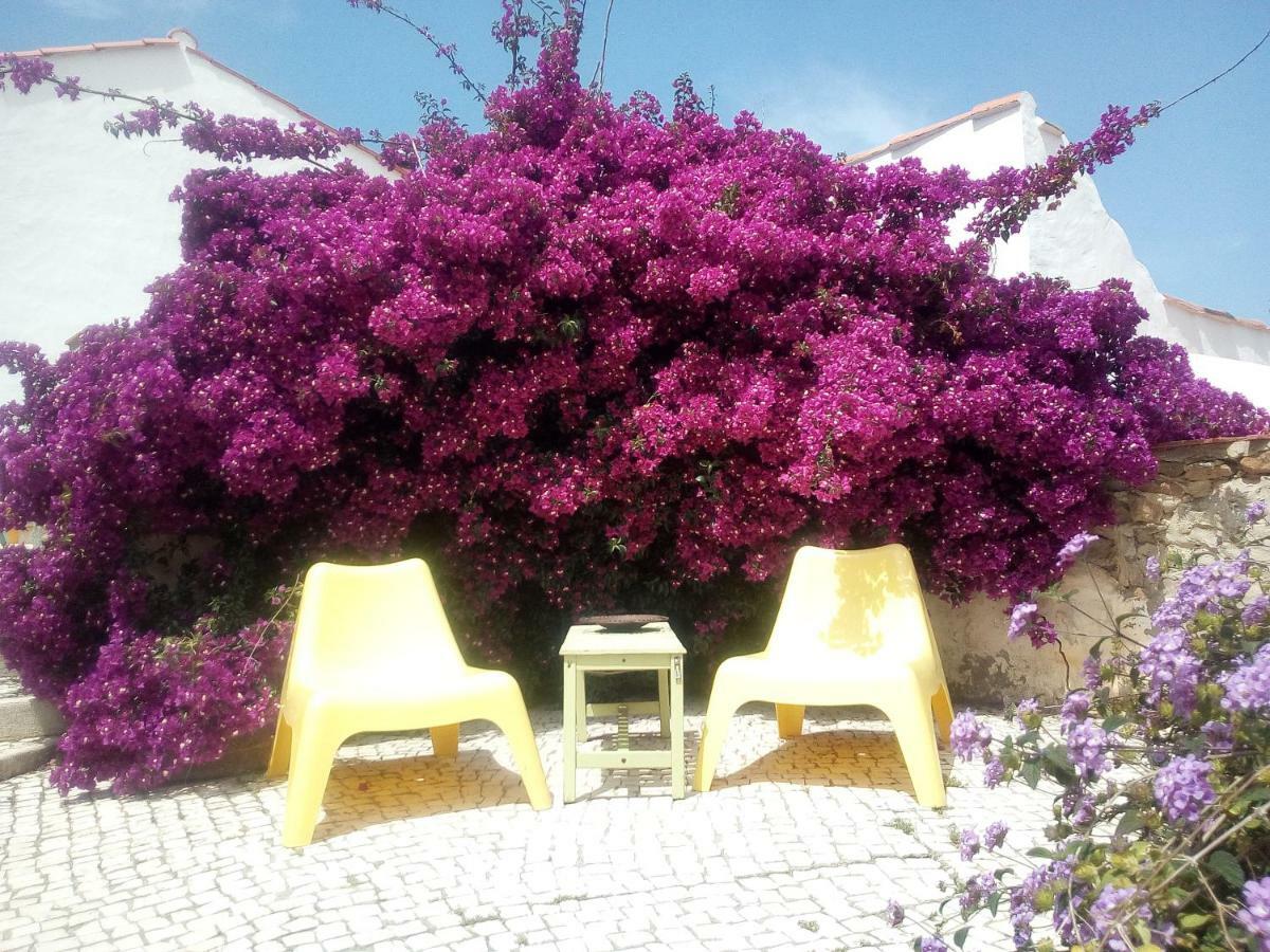 Quinta Laranja - Turismo Rural - Alvorninha Dış mekan fotoğraf